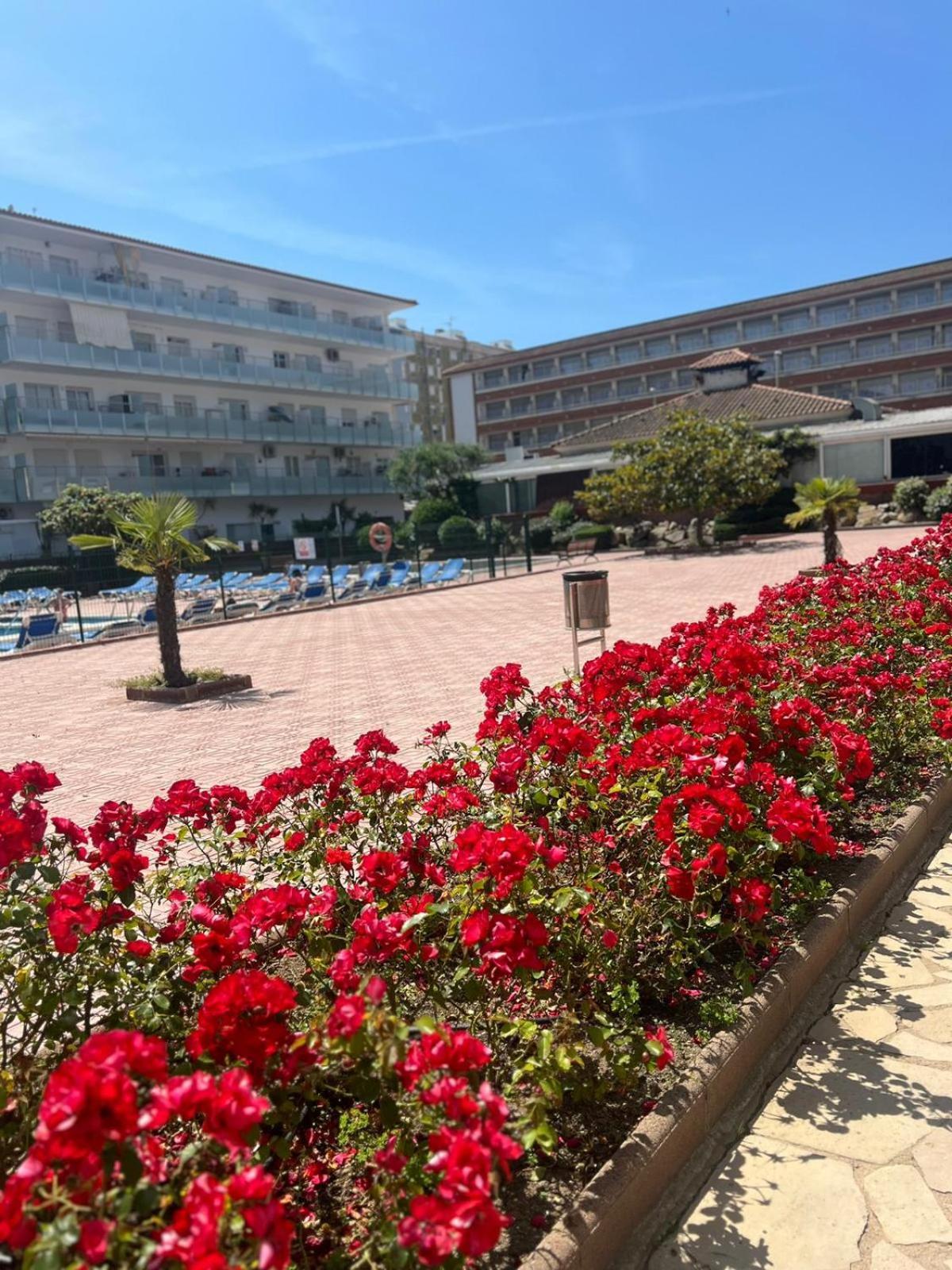 Apartamento Apcostas Els Pins Lotus Blanes Exterior foto